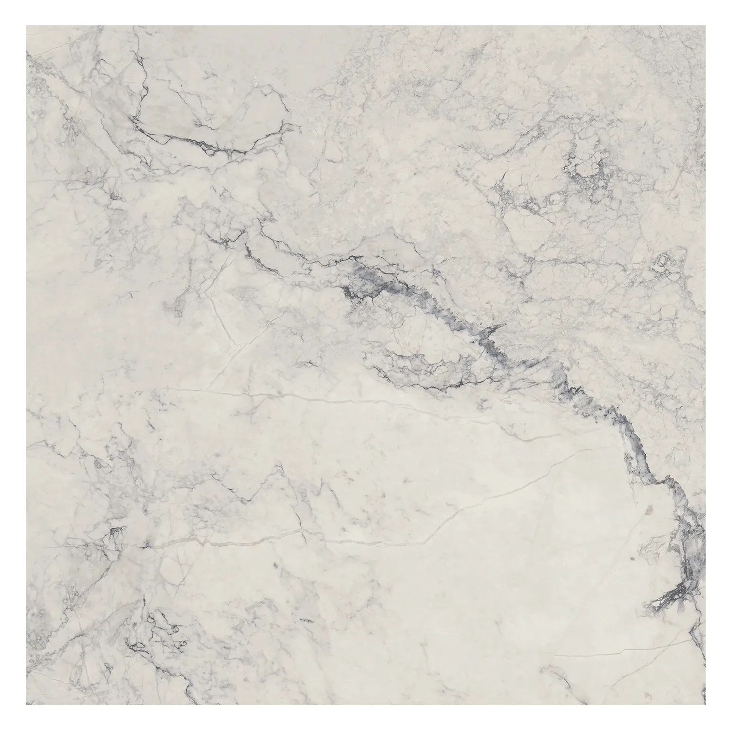 Marmoroptik Fliese Bianco Camouflage 60 x 60 cm