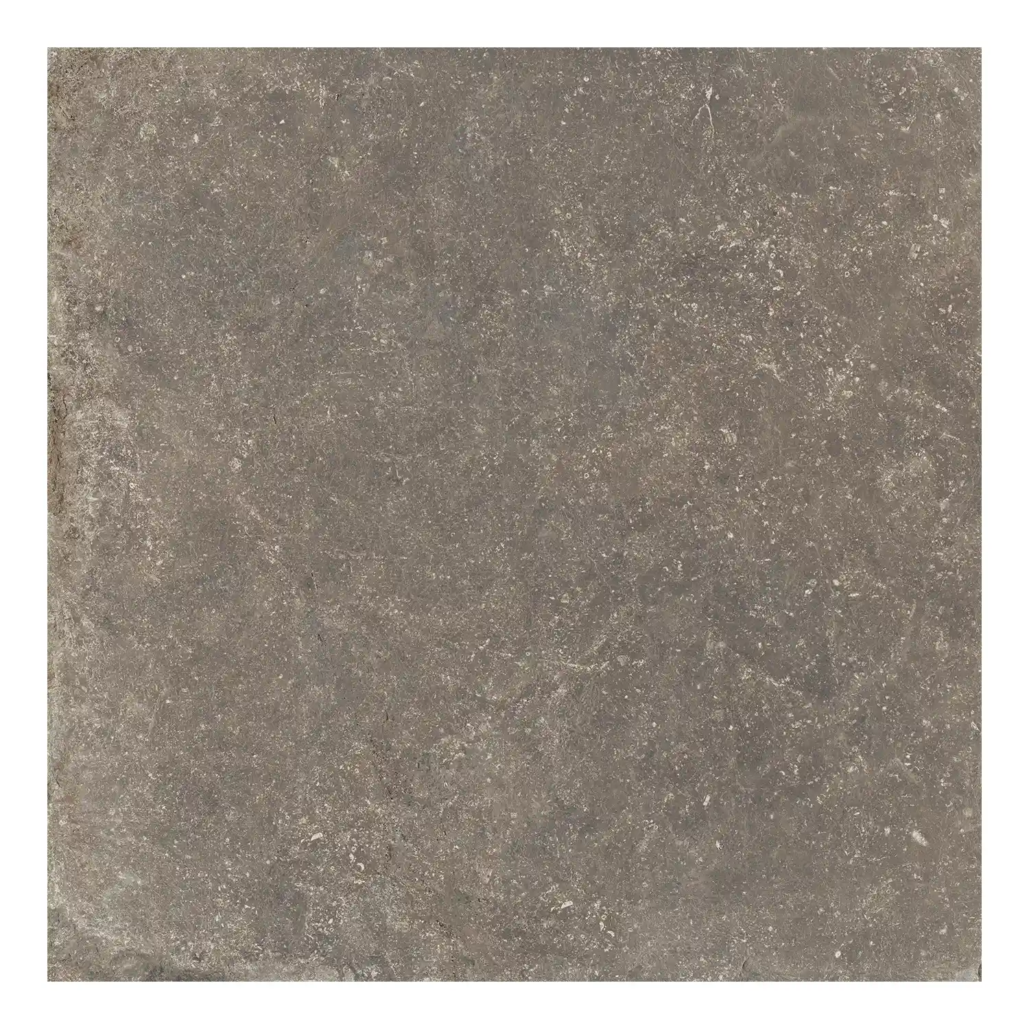 Rustikale Steinoptik Bodenfliese i-stone Taupe R11 60 x 60cm