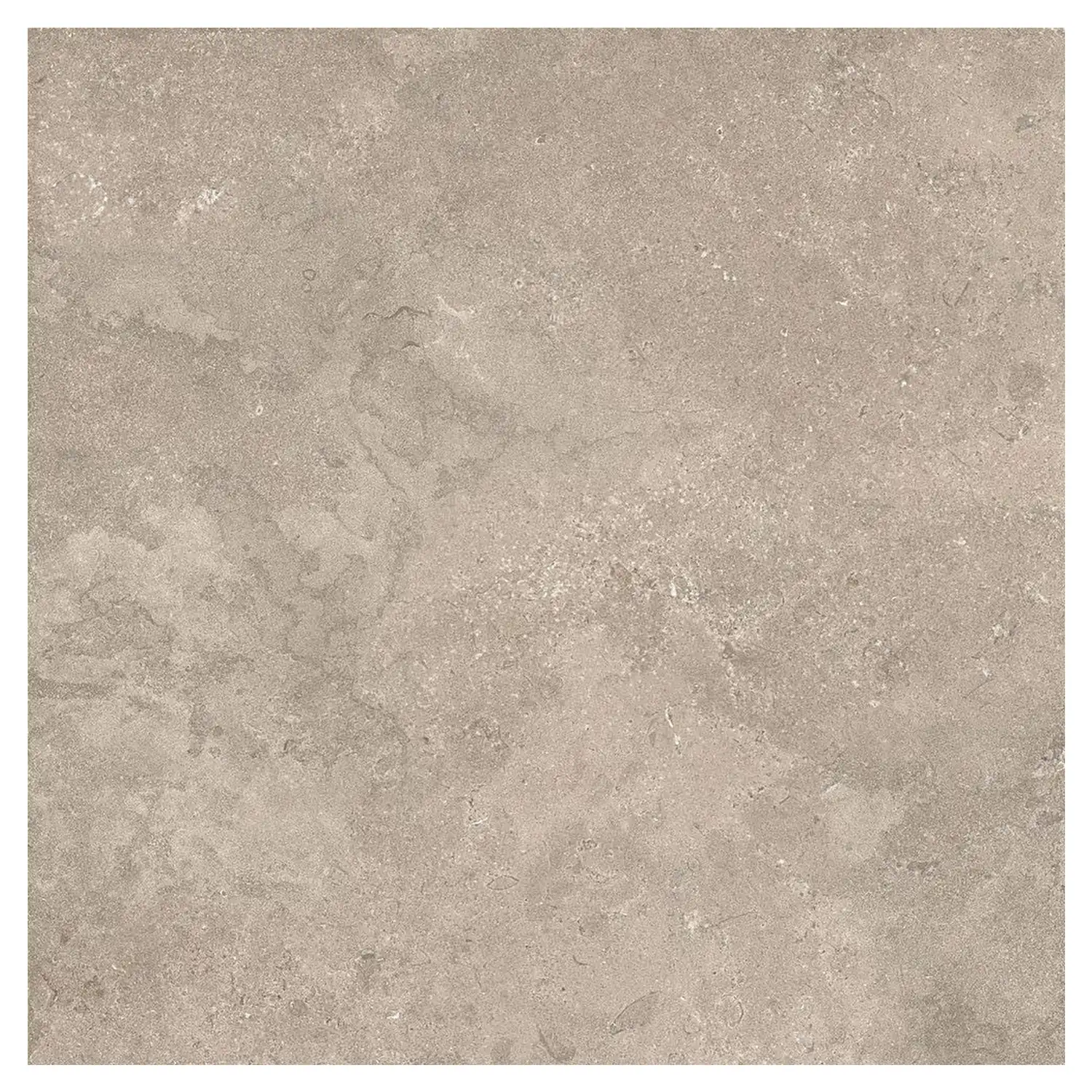 Steinoptik Fliese Portland Rock Taupe 100 x 100 cm
