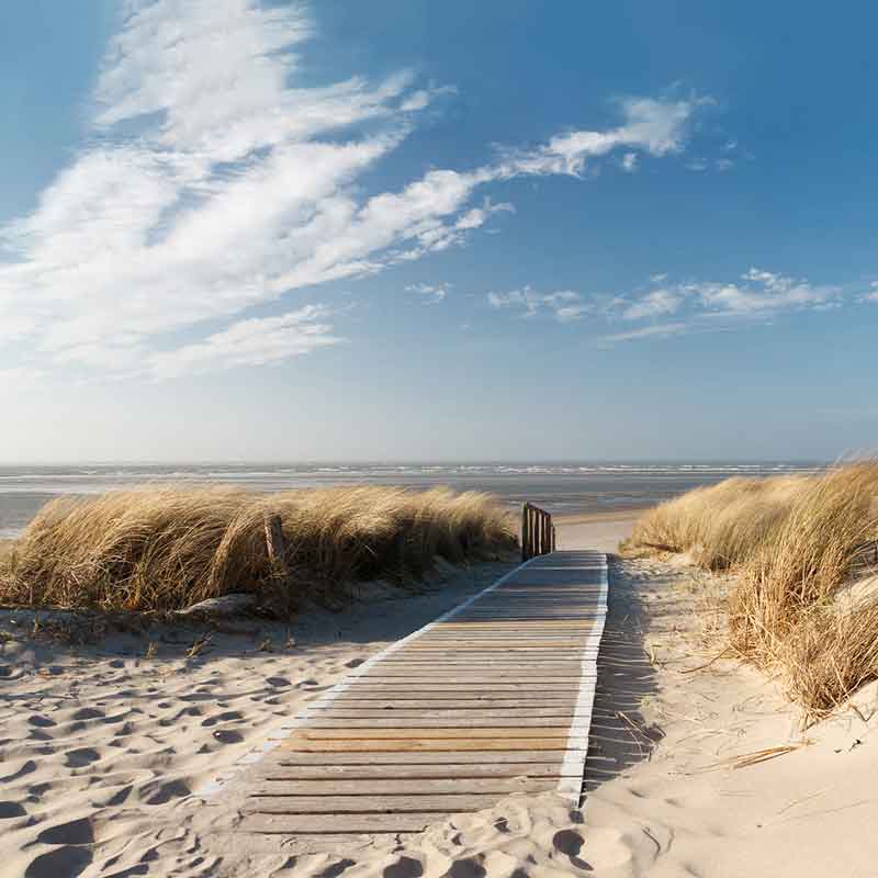 HSK RenoDeco Fotodruck Designplatte Seidenmatt 150 x 255 cm