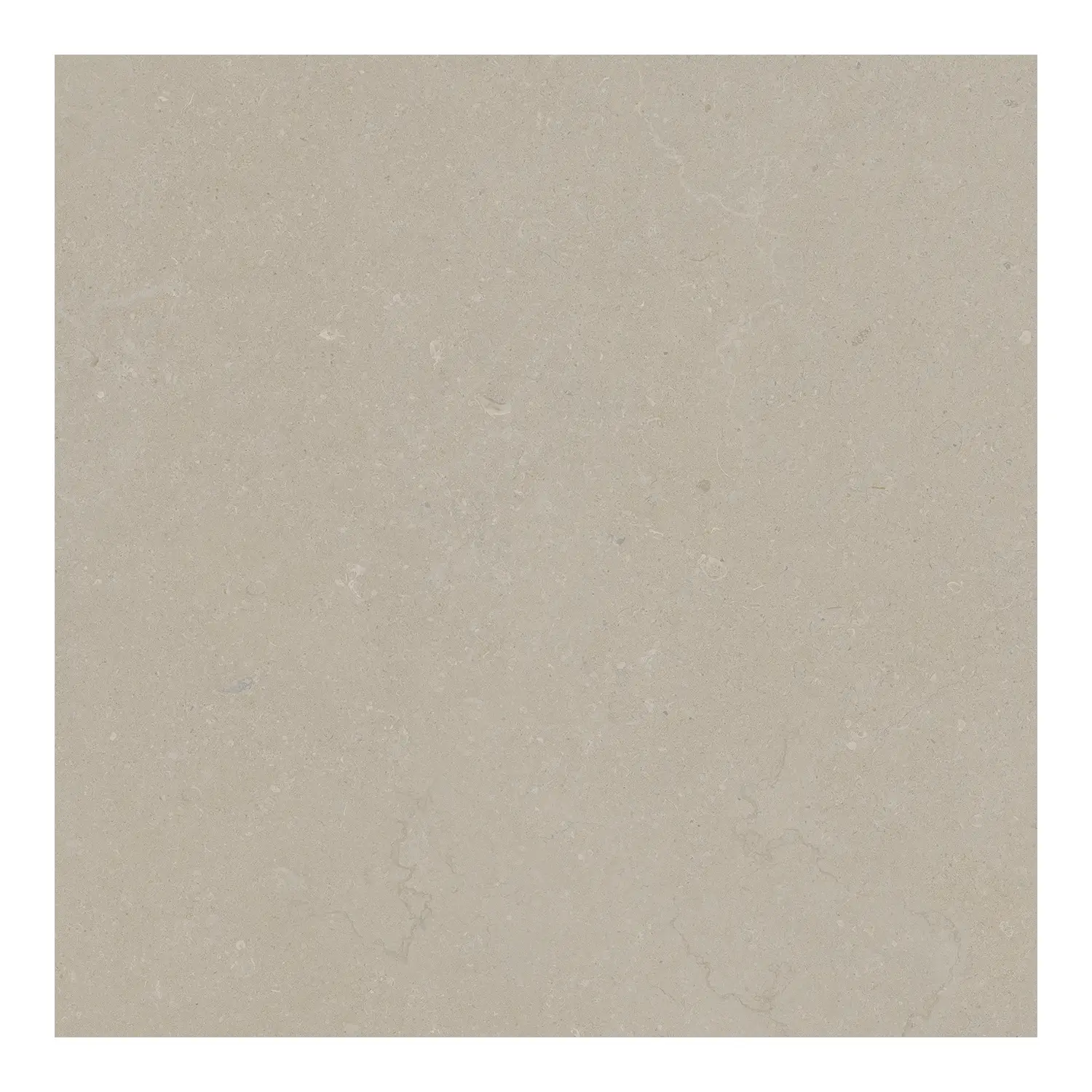 Steinoptik Bodenfliese Rift Bone 60 x 60 cm