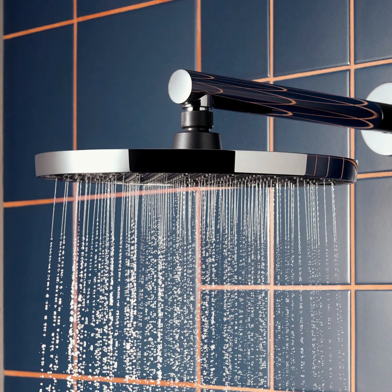 Hansgrohe Raindance Activera S Kopfbrause 1 jet