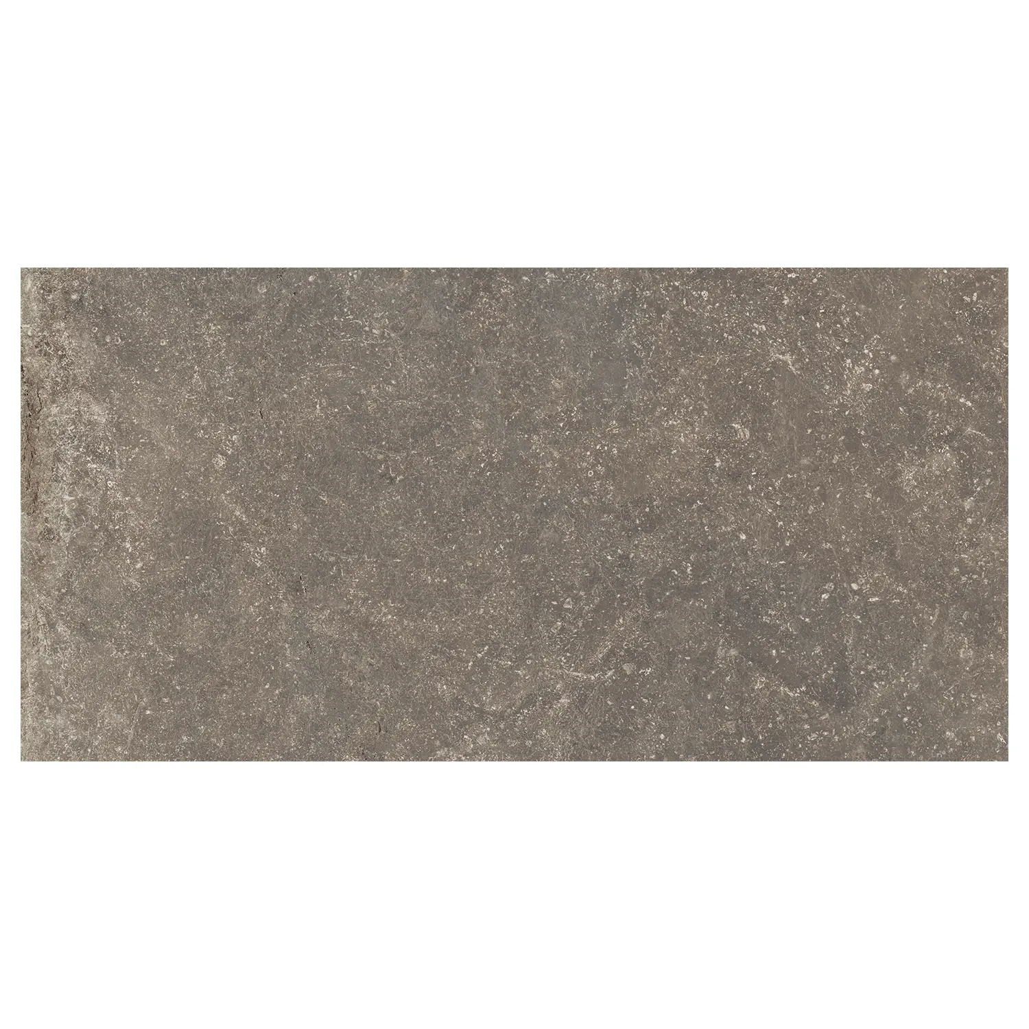 Rustikale Steinoptik Bodenfliese i-stone Taupe R11 60 x 120