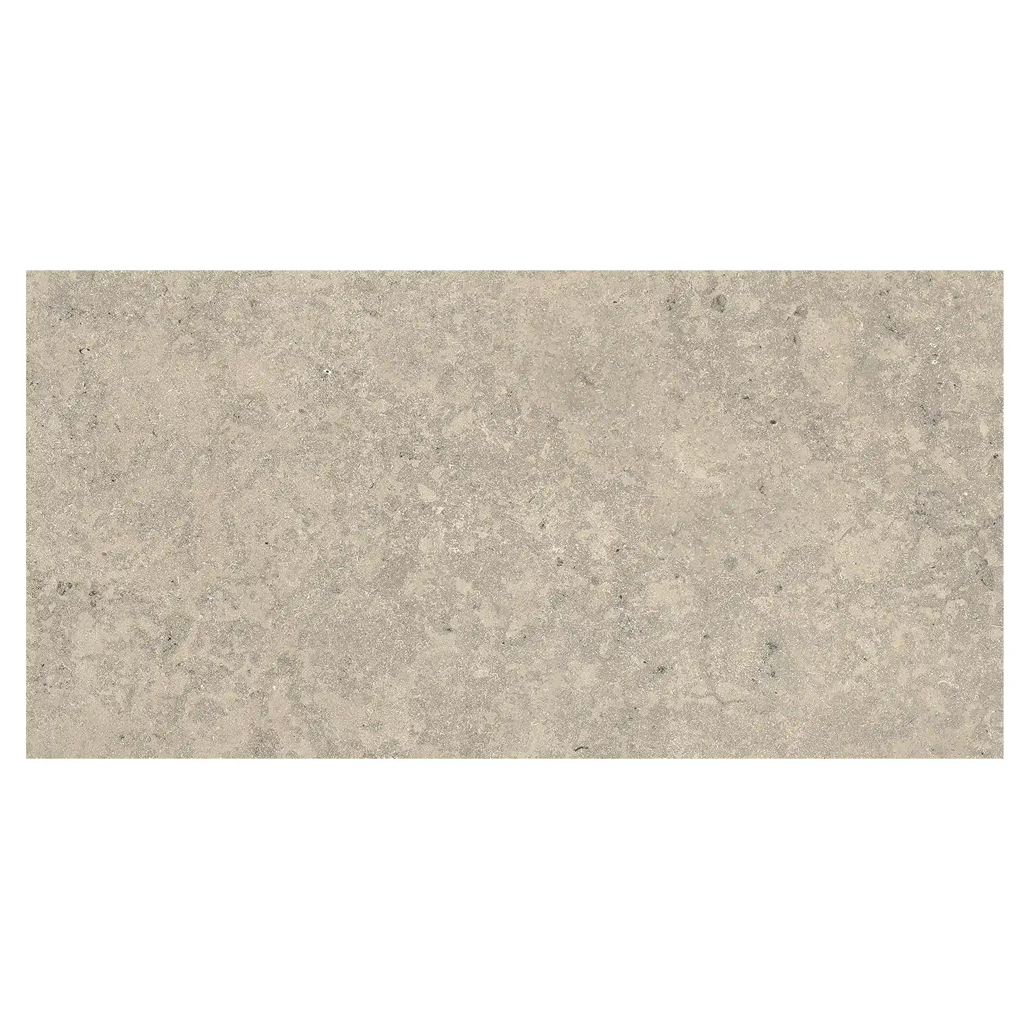 Steinoptik Fliese Jurassic Bavaria Grigio 3D 60 x 120 cm