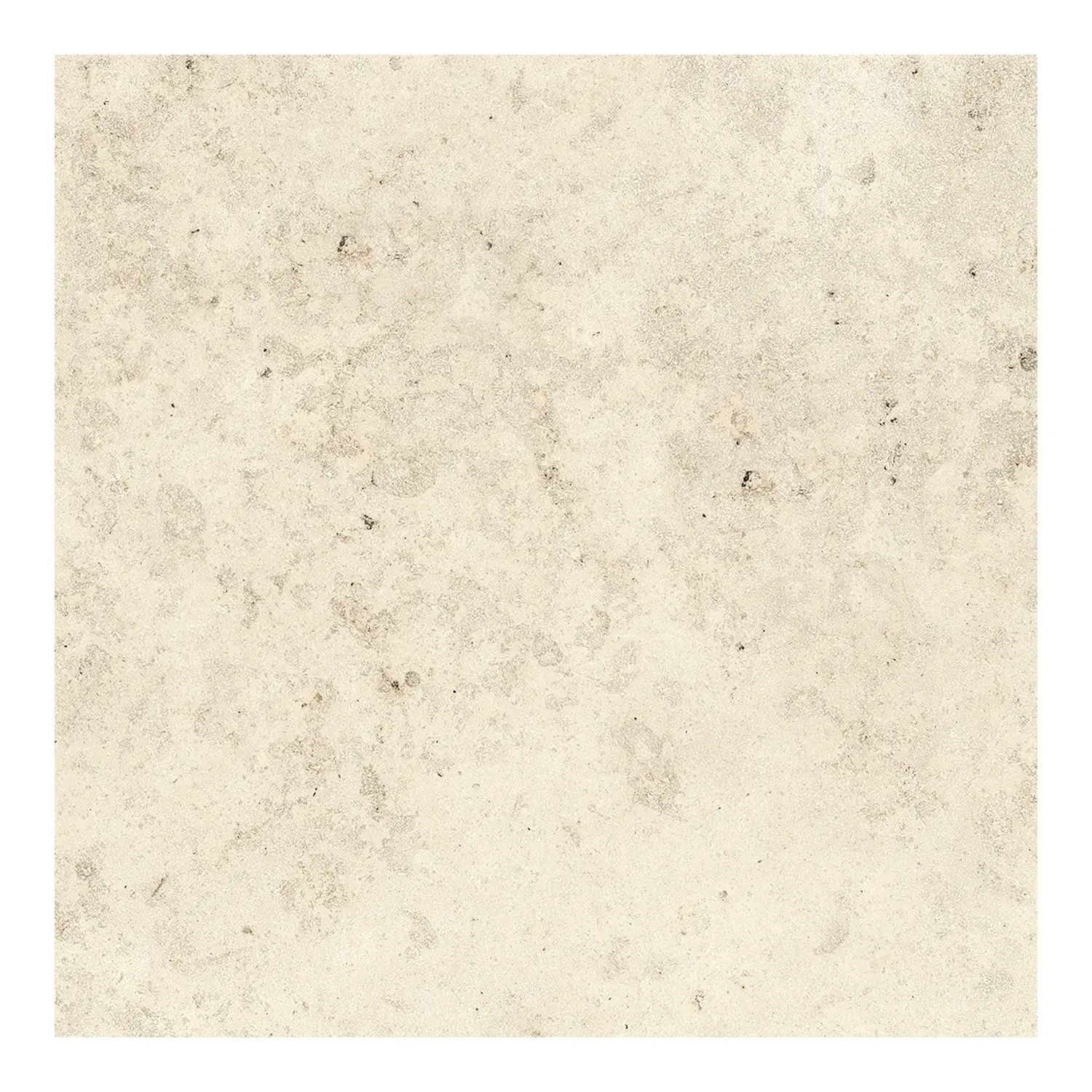Steinoptik Fliese Jurassic Fossil Crema 3D 60 x 60 cm