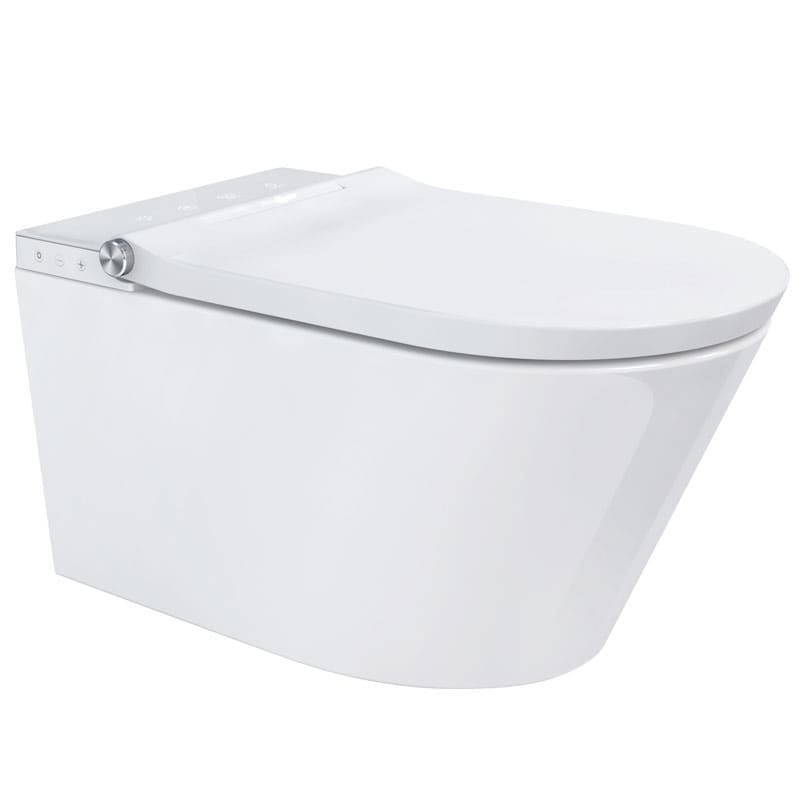 FlushTech Clean Dusch WC spülrandlos Komplett-Set