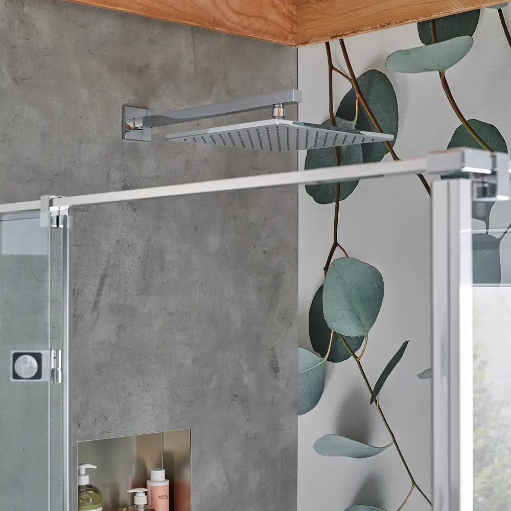 HSK RenoDeco Fotodruck Duschrückwand Eukalyptus 52