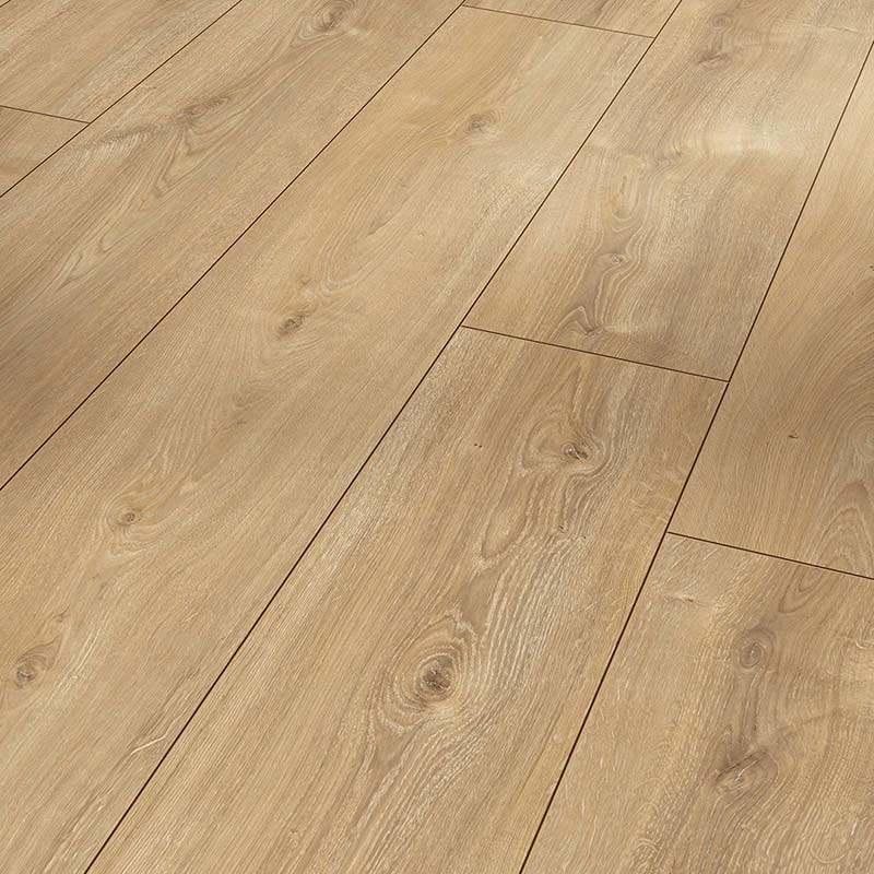 Parador Trendtime 6 Laminat Eiche Nova gekälkt