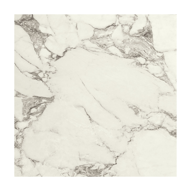 Serenissima Magistra Paonazzetto Lux 60 x 60 cm