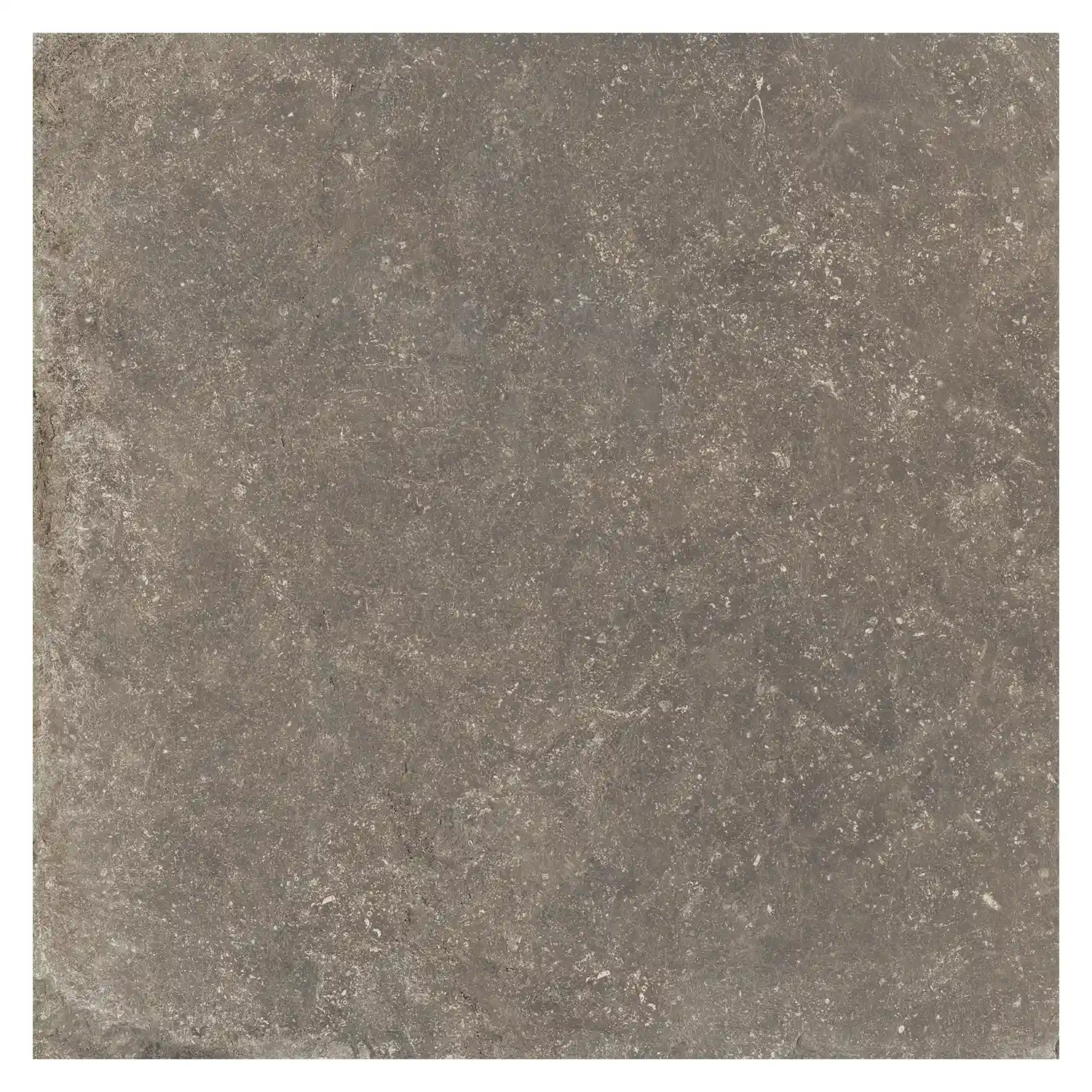 Rustikale Steinoptik Terrassenplatte i-stone Taupe 80 x 80cm