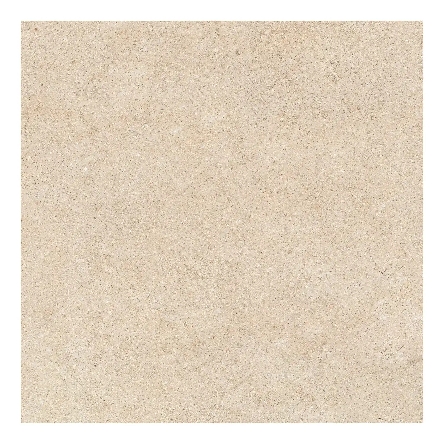 Steinoptik Fliese Sedimenti Beige Selected 60 x 60 cm