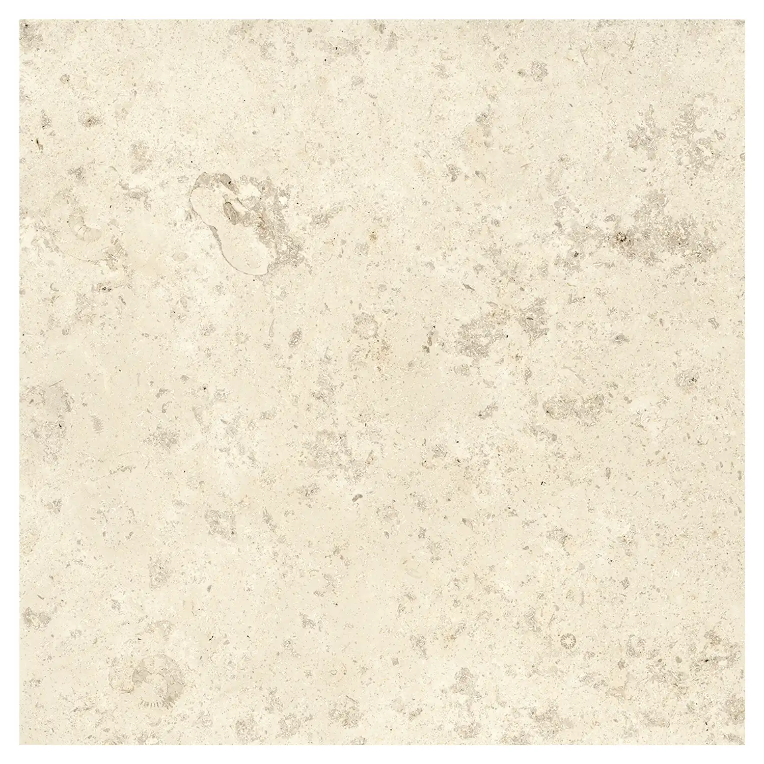 Steinoptik Fliese Jurassic Fossil Crema 3D 120 x 120 cm