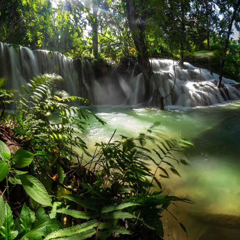 HSK RenoDeco Fotodruck Duschrückwand Farn am Wasserfall 49