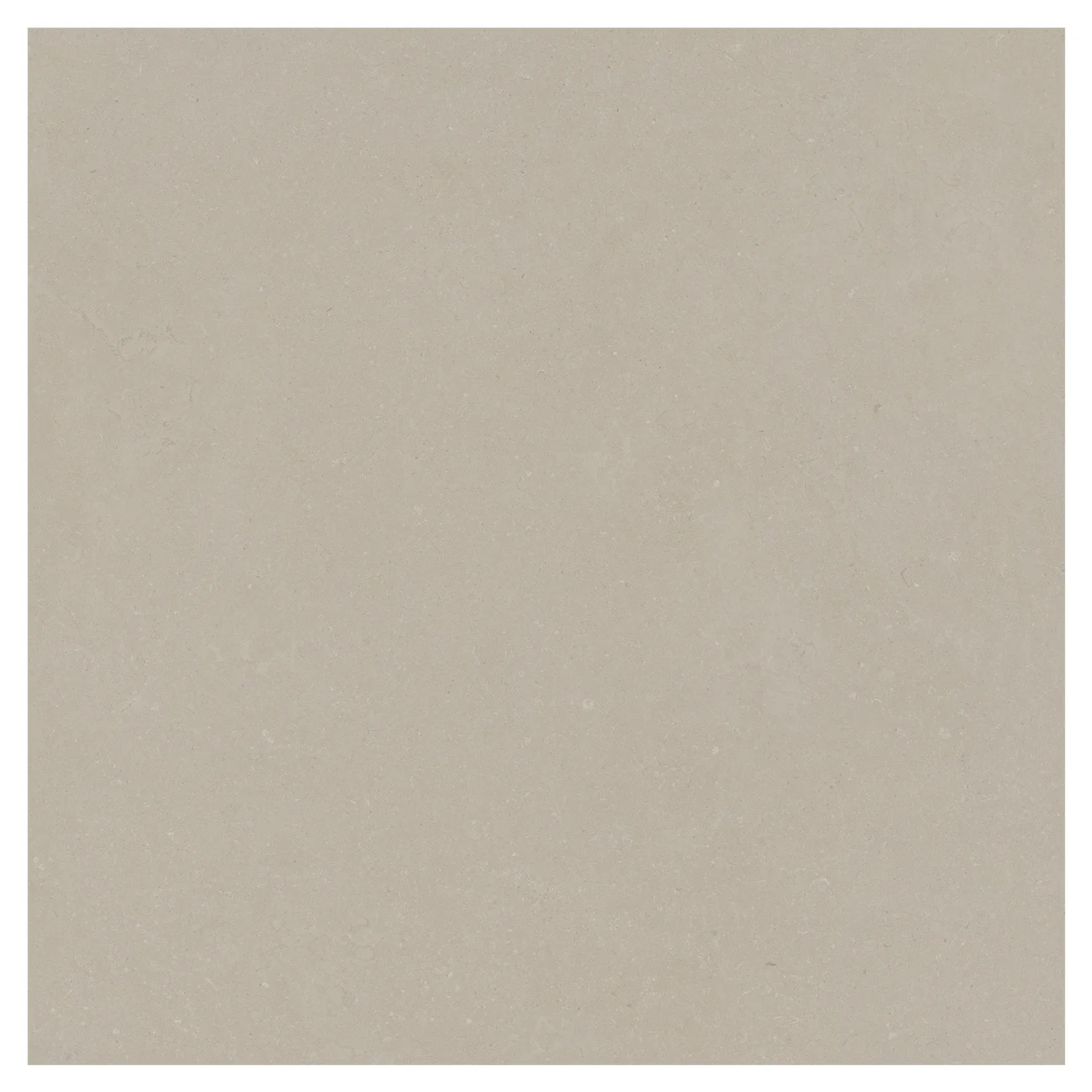 Steinoptik Bodenfliese Rift Bone 120 x 120 cm