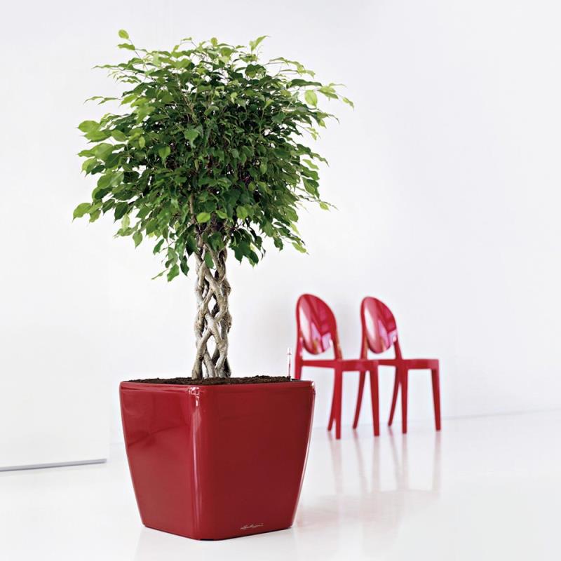 Pflanzkübel fleur ami Quadro LS 35x35 cm H 33 cm scarlet rot