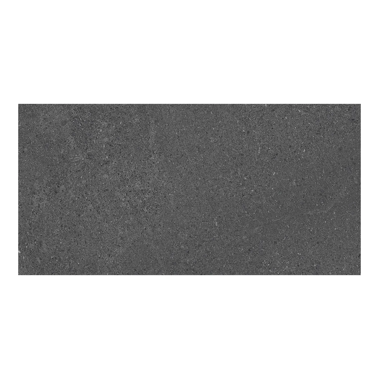 Steinoptik Fliese Natural Dark 30 x 60 cm