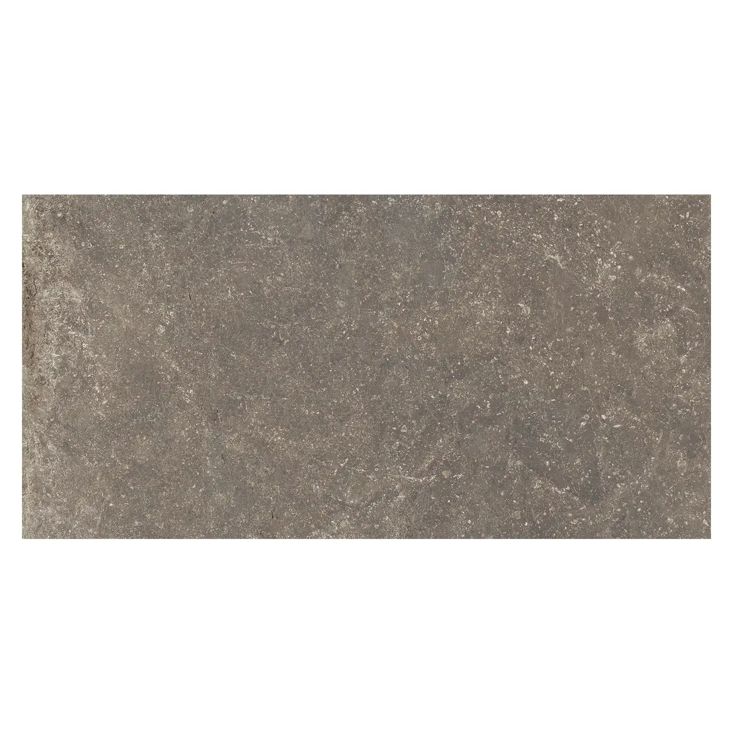 Rustikale Steinoptik Bodenfliese i-stone Taupe 40 x 80 cm