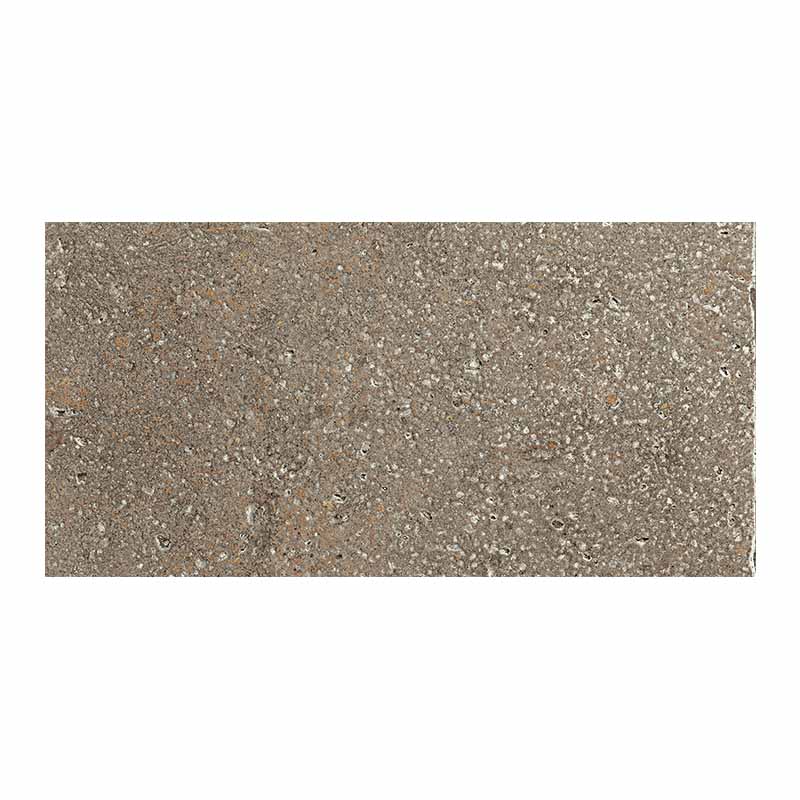 Cotto Bodenfliese Pomposa Mineral 20 x 40 cm