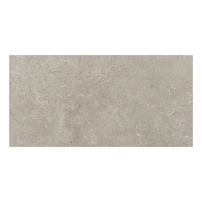 Steinoptik Fliese Cercom Stone Vision Ash 30 x 60 cm Muster