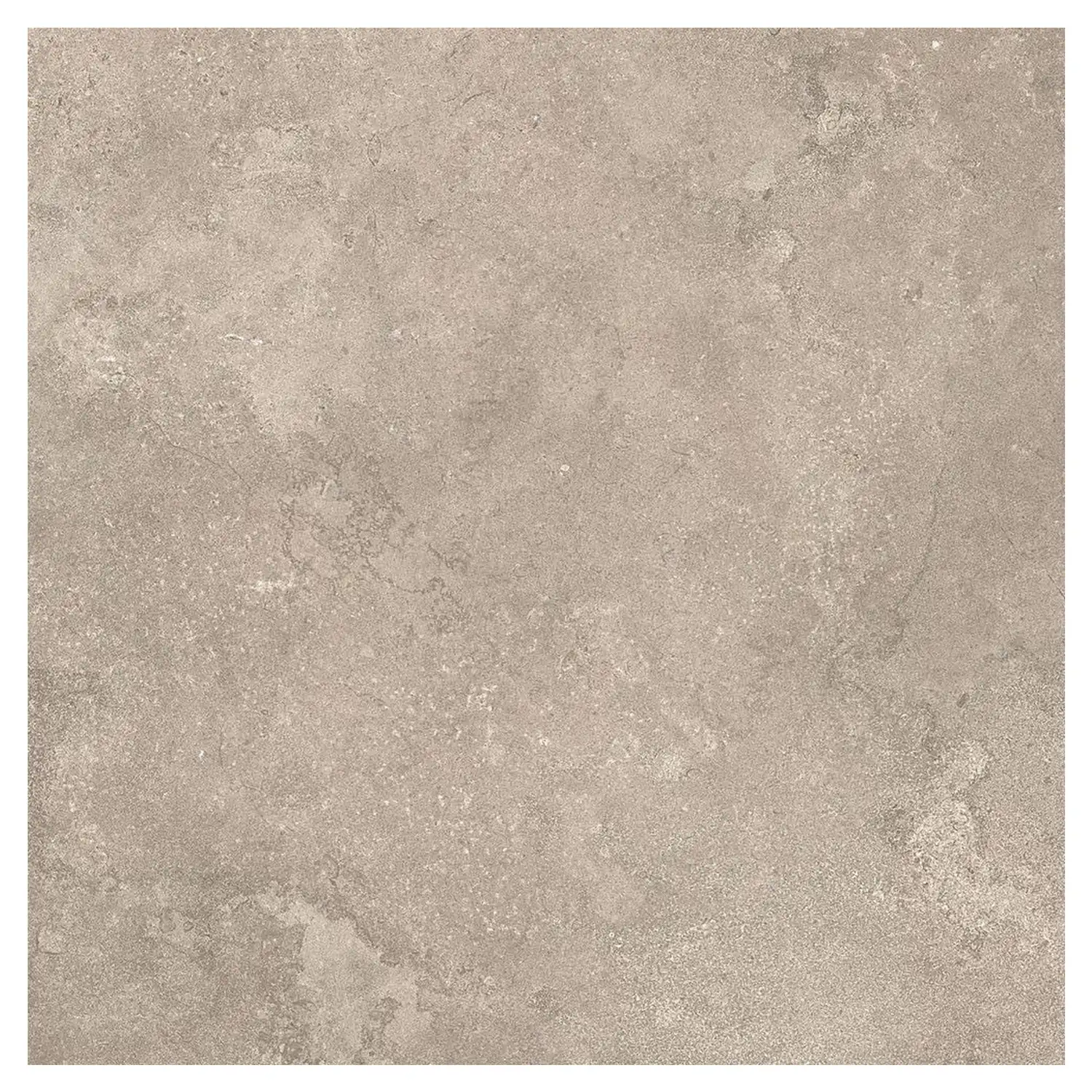 Steinoptik Fliese Portland Rock Taupe 100 x 100 cm
