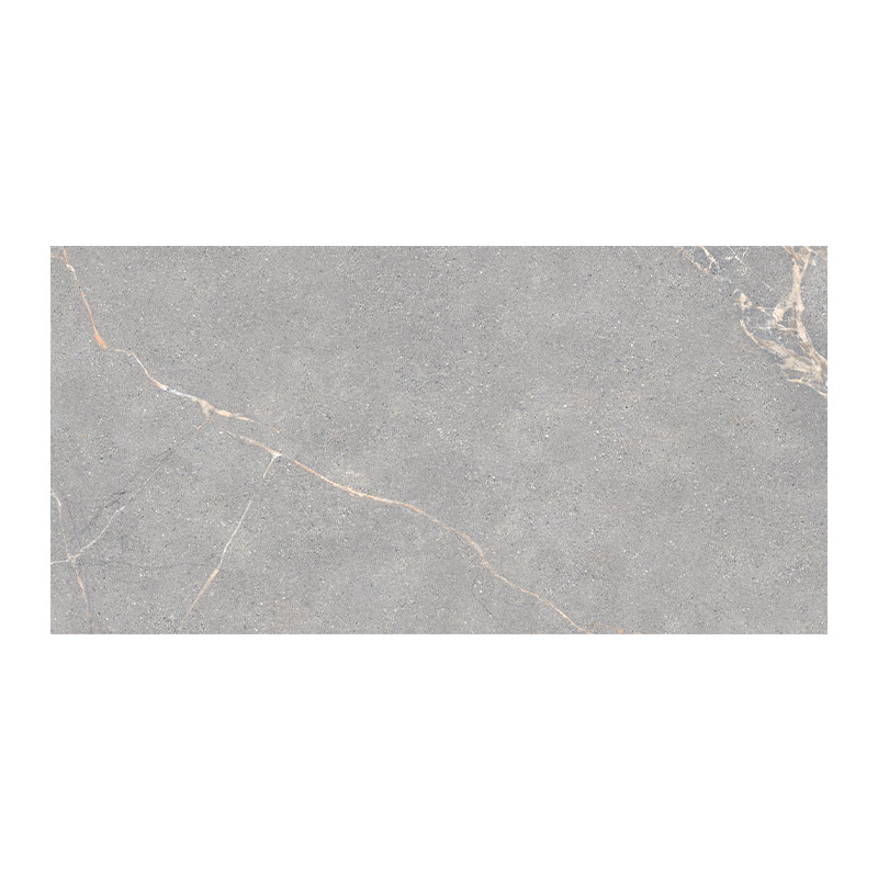Lea Ceramiche Anthology 04 Gray 30 x 60 cm Worn