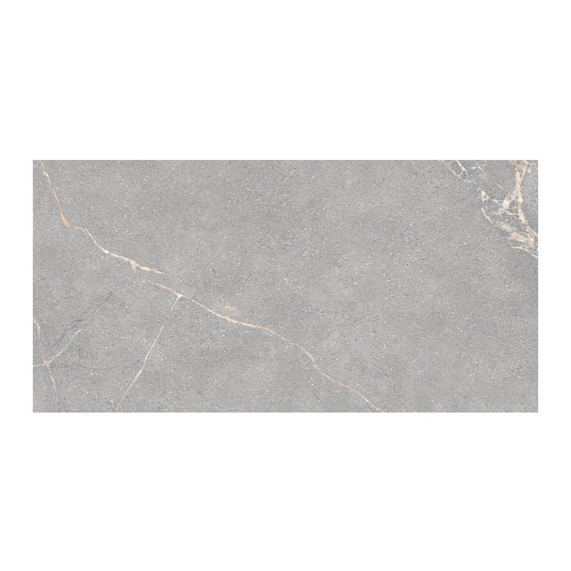 Lea Ceramiche Anthology 04 Gray 30 x 60 cm Worn