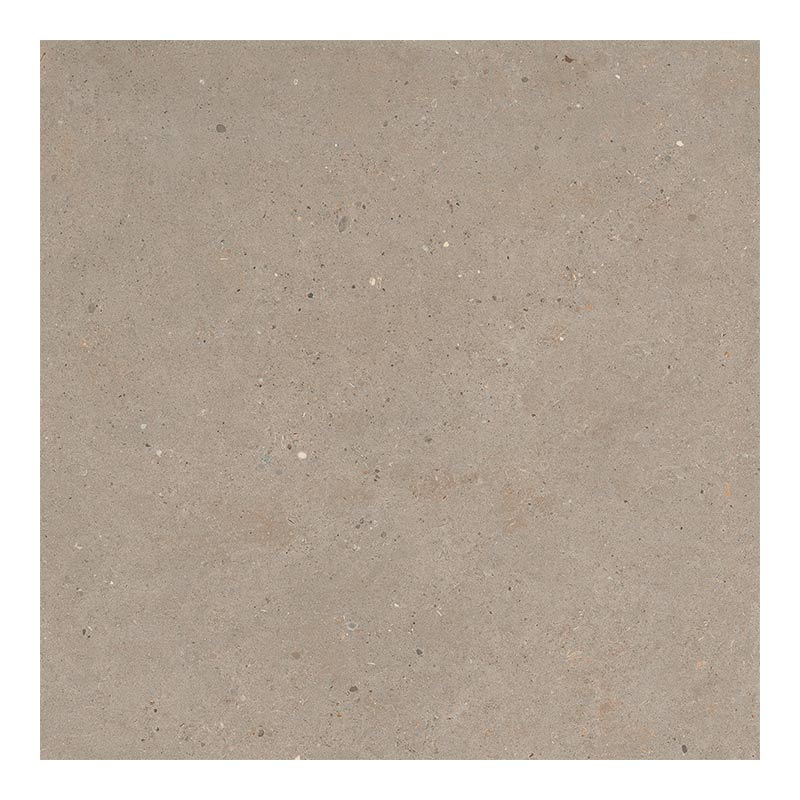 Italgraniti Silver Grain Taupe Antislip 60 x 60 cm Bodenfliese