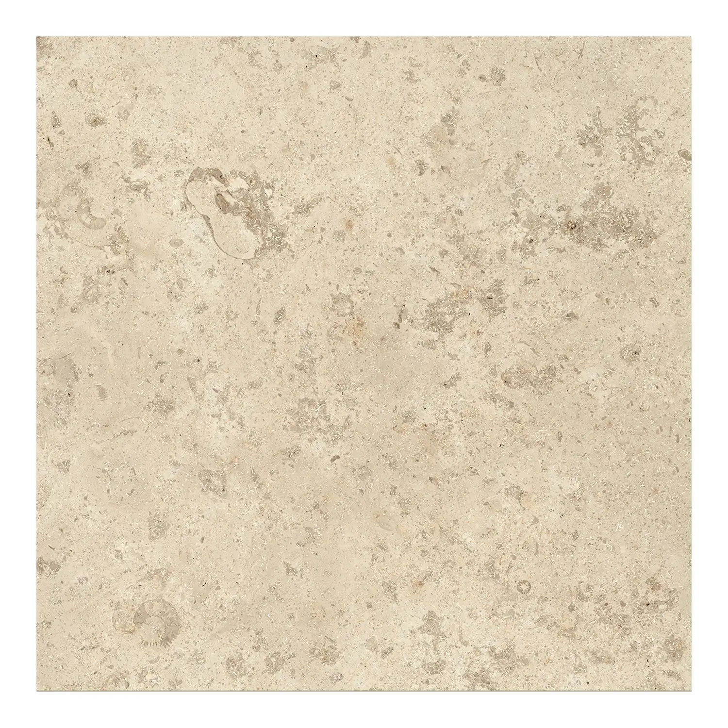 Steinoptik Fliese Jurassic Jorstone Beige 3D 60 x 60 cm