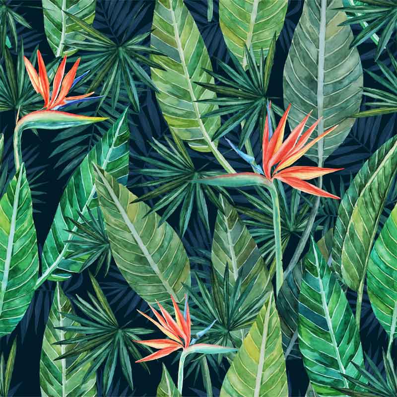 HSK RenoDeco Fotodruck Duschrückwand Jungle 70