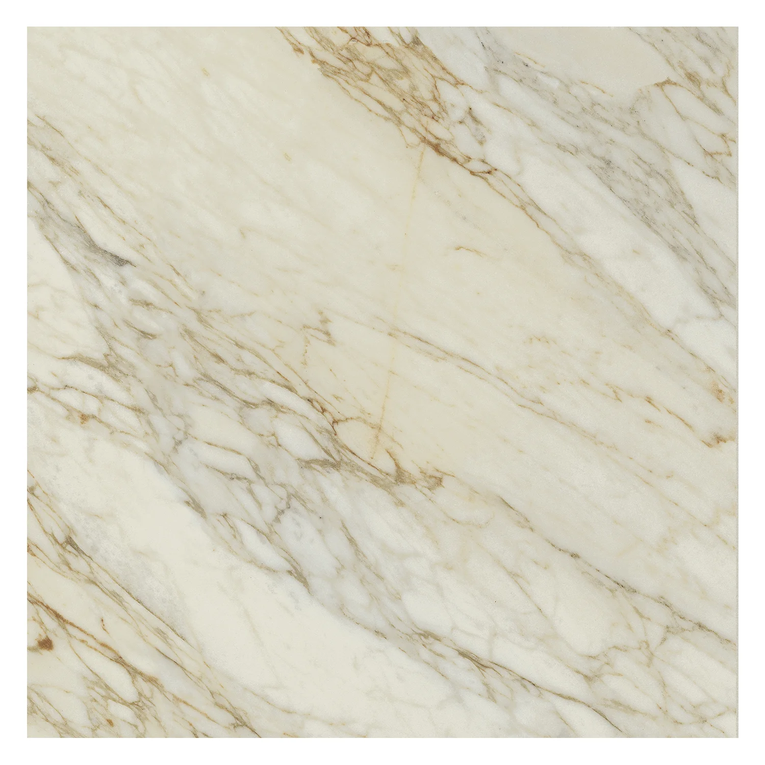 Marmoroptik Fliese Calacatta Dorato Silk 60 x 60 cm