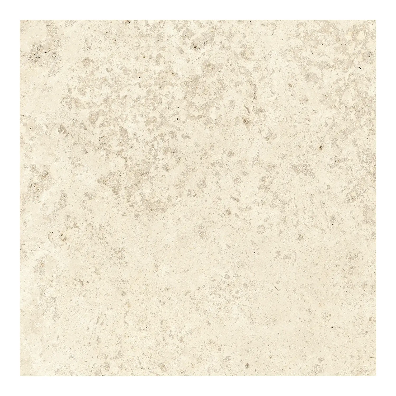Steinoptik Fliese Jurassic Fossil Crema 3D 60 x 60 cm
