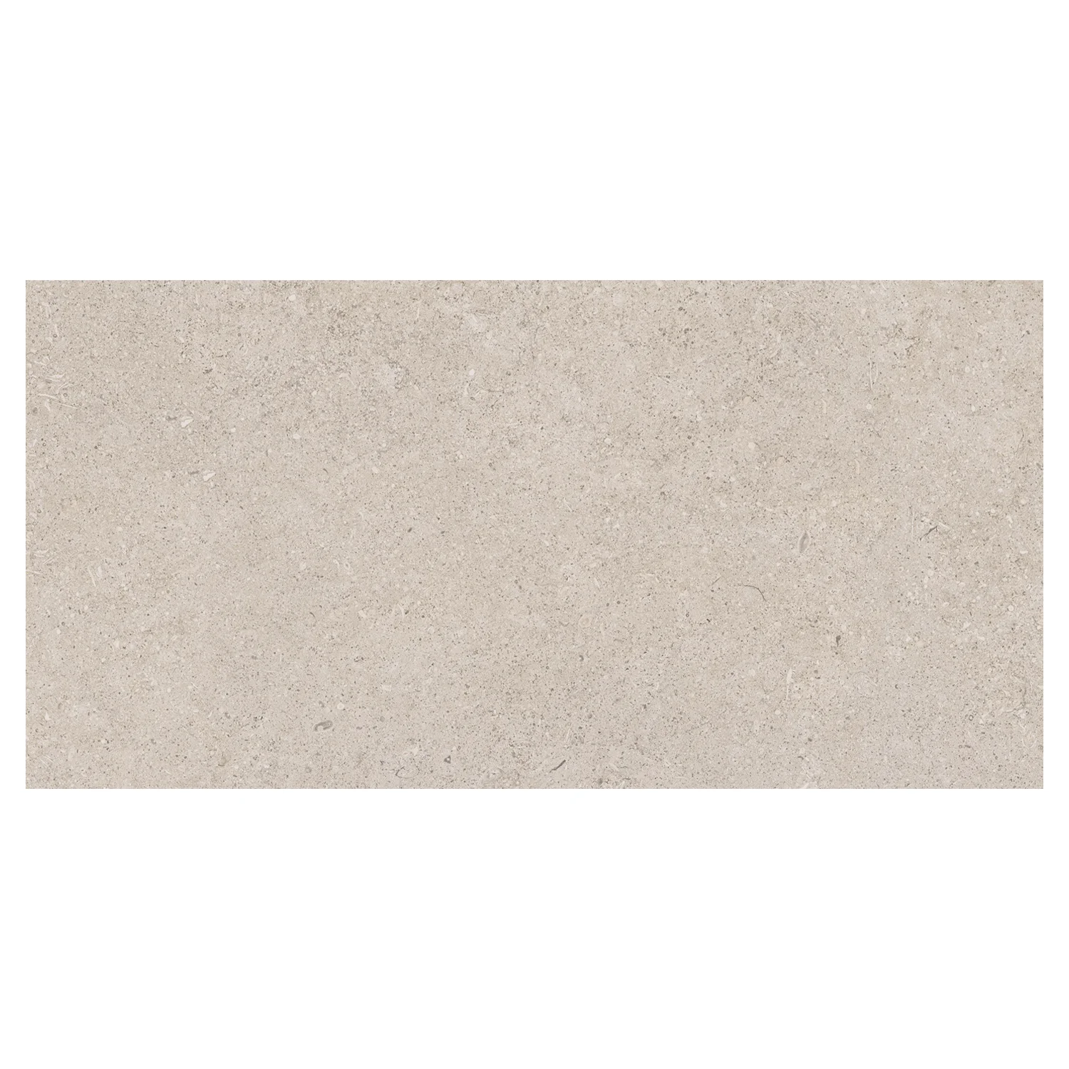 Steinoptik Fliese Sedimenti Grey Selected 60 x 120 cm