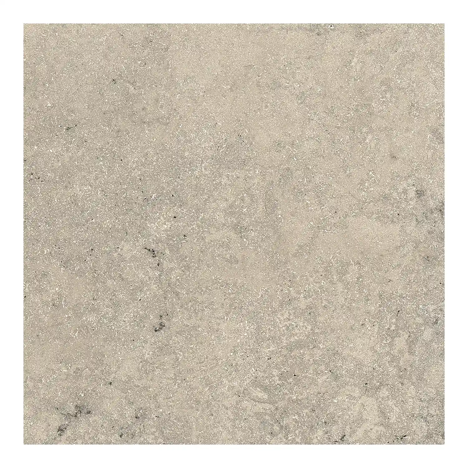 Steinoptik Fliese Jurassic Bavaria Grigio 3D 60 x 60 cm