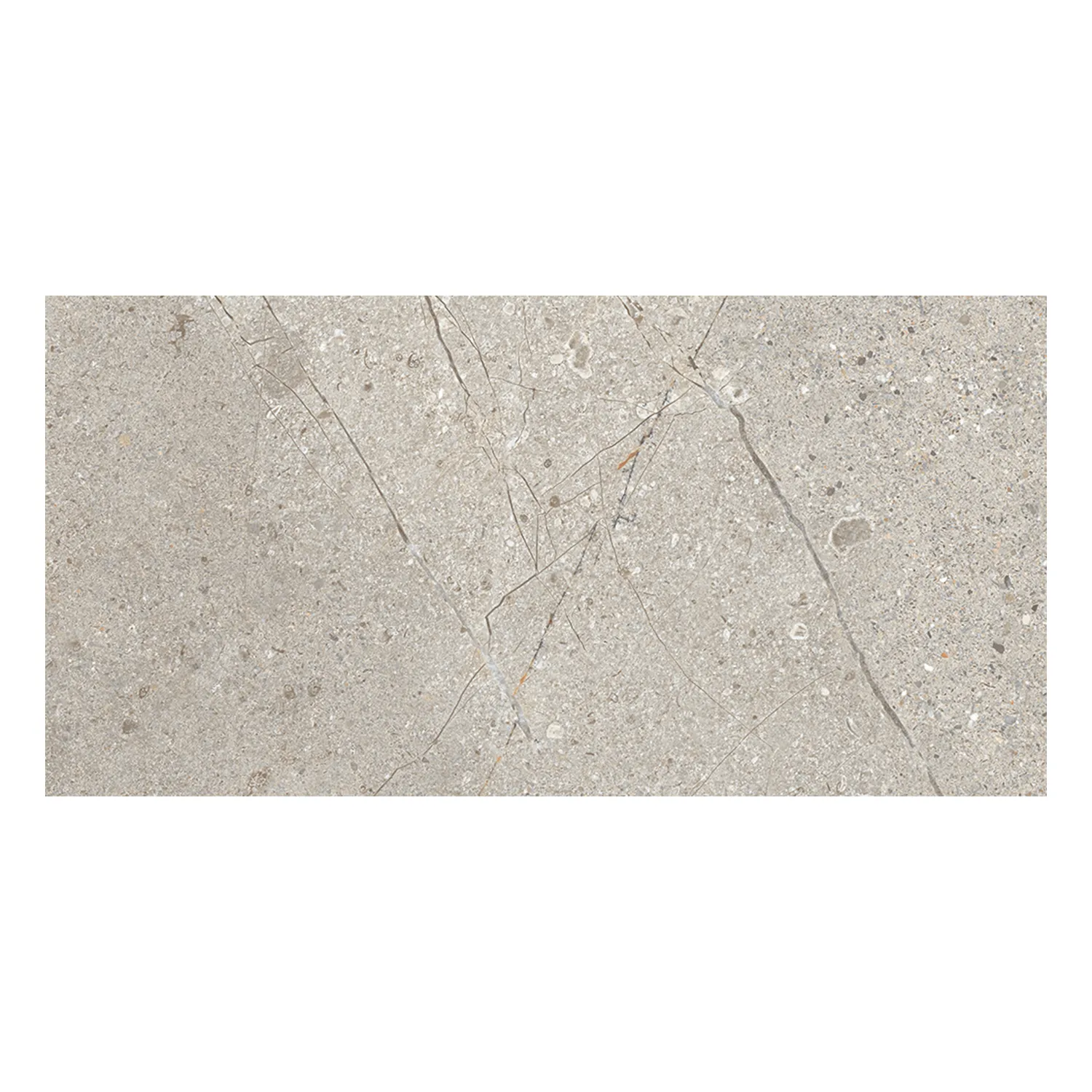 Steinoptik Fliese Crust Taupe 30 x 60 cm