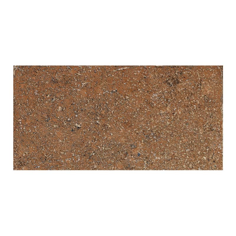 Cotto Bodenfliese Pomposa Ambra R11 20 x 40 cm