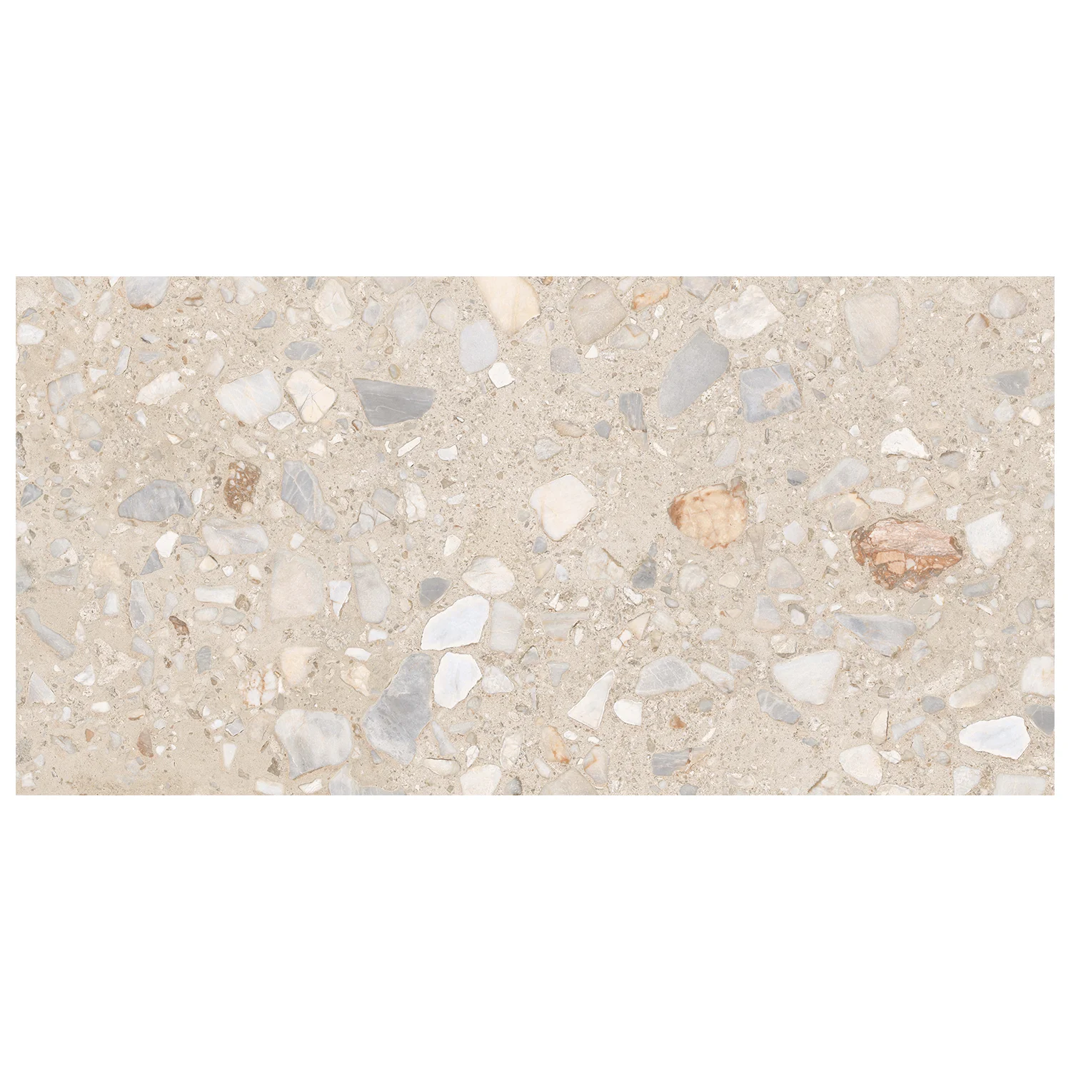 Terrazzo Fliese Shell Beige 60 x 120 cm