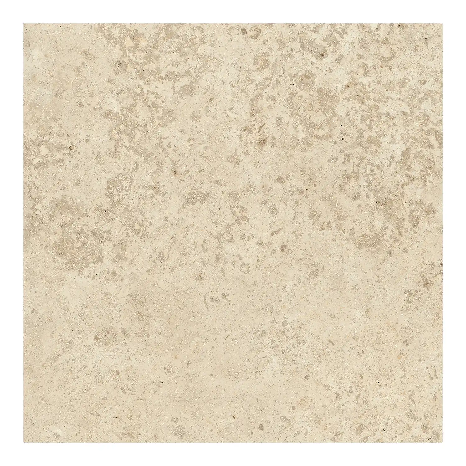 Steinoptik Fliese Jurassic Jorstone Beige 3D 60 x 60 cm