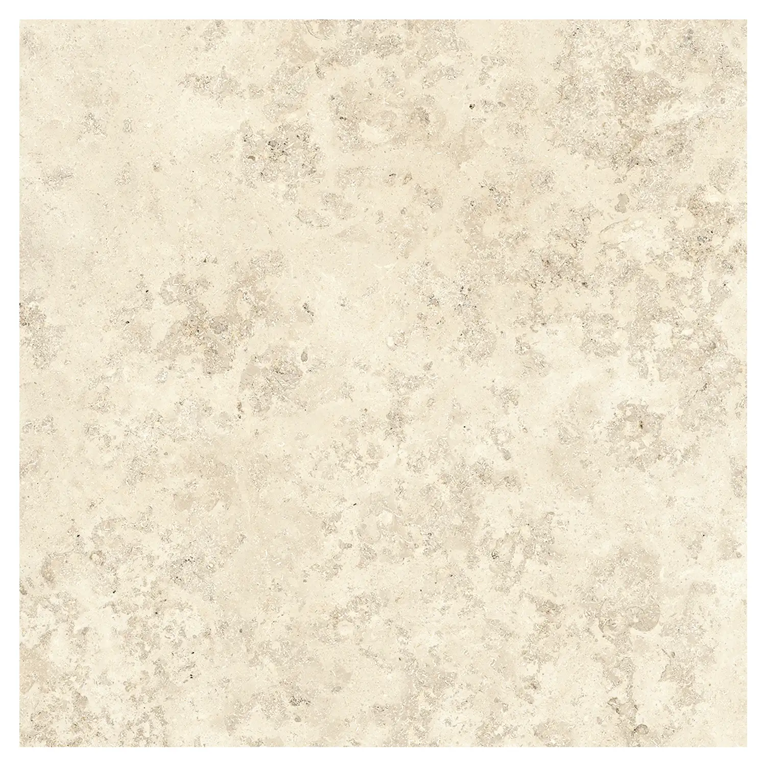 Steinoptik Fliese Jurassic Fossil Crema 3D 120 x 120 cm