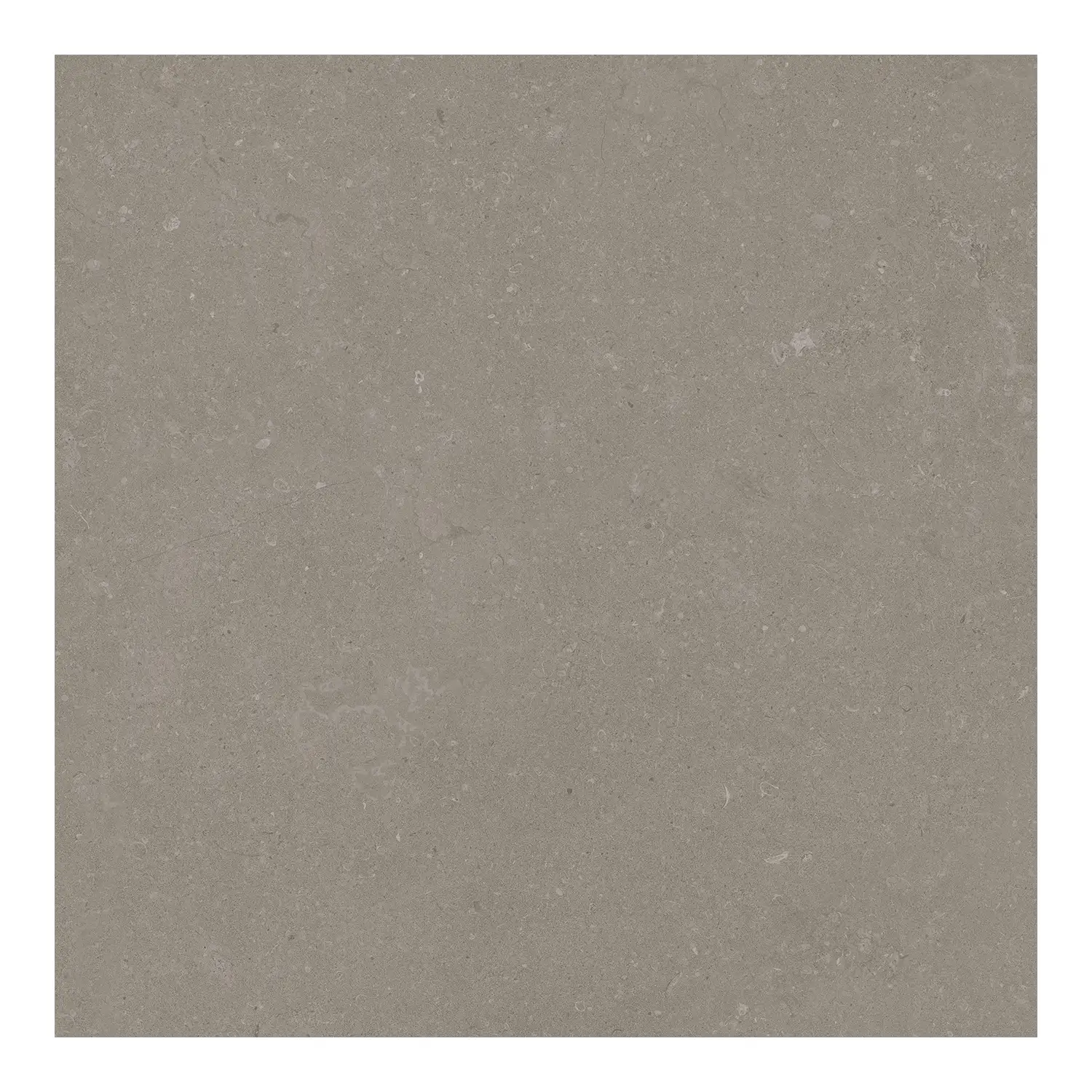 Steinoptik Bodenfliese Rift Greige 60 x 60 cm
