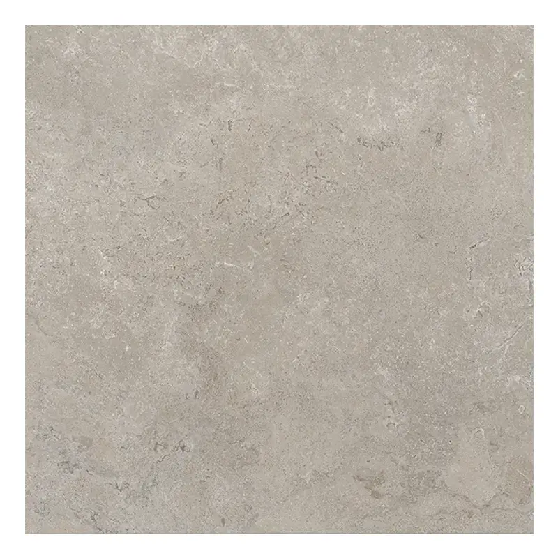 Steinoptik Fliese Cercom Stone Vision Ash R11 60 x 60 cm
