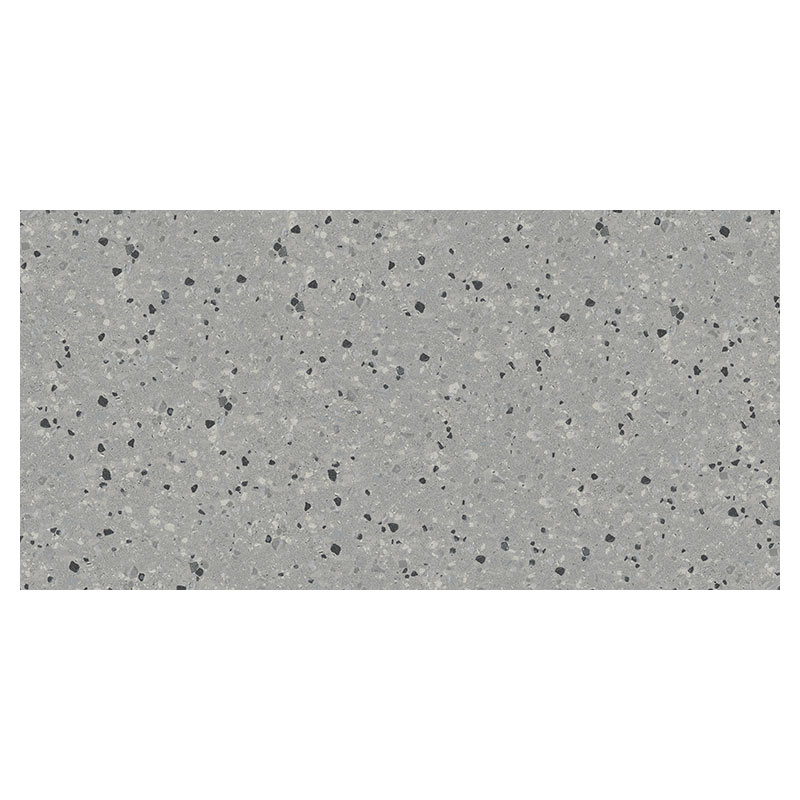 gigacer Inclusioni Classico Grigio Mat 60 x 120 cm