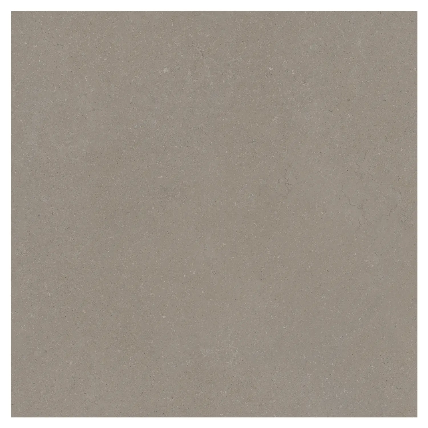 Steinoptik Bodenfliese Rift Greige 120 x 120 cm