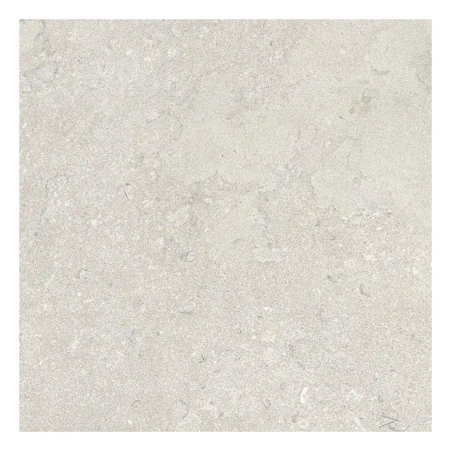 Steinoptik Bodenfliese Portland Bianco 60 x 60 cm