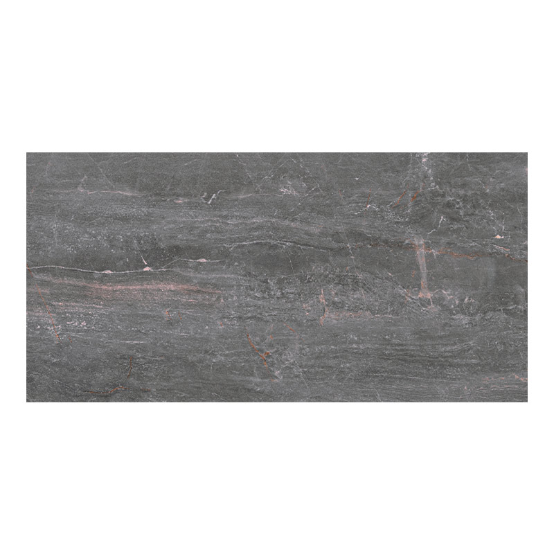 Serenissima Fossil Piombo Lux 30 x 60 cm