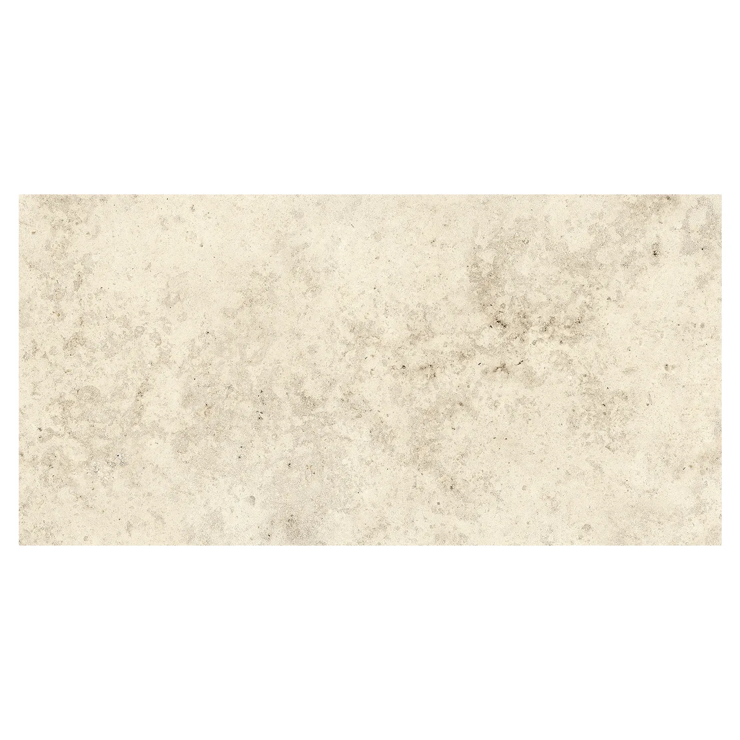 Steinoptik Fliese Jurassic Fossil Crema 3D 60 x 120 cm
