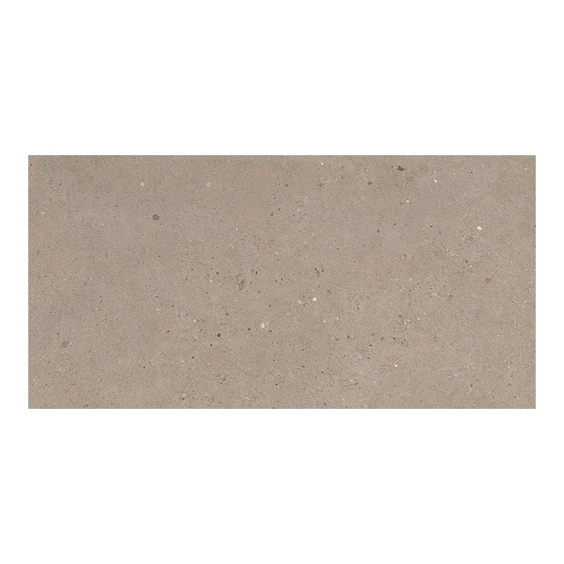 Italgraniti Silver Grain Taupe 30 x 60 cm Musterfliese