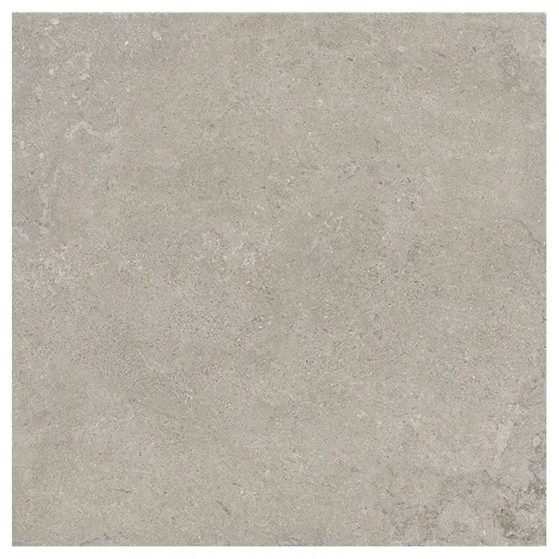 Steinoptik Fliese Cercom Stone Vision Ash 100 x 100 cm