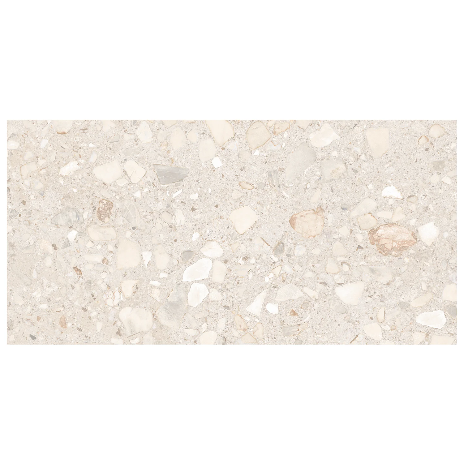 Terrazzo Fliese Shell Ivory Light 60 x 120 cm