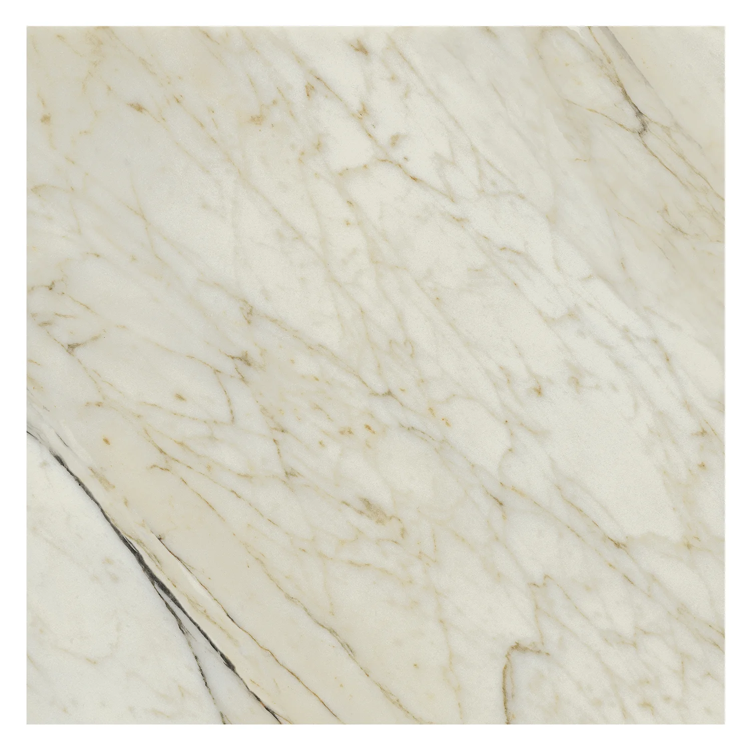 Marmoroptik Fliese Calacatta Dorato 60 x 60 cm