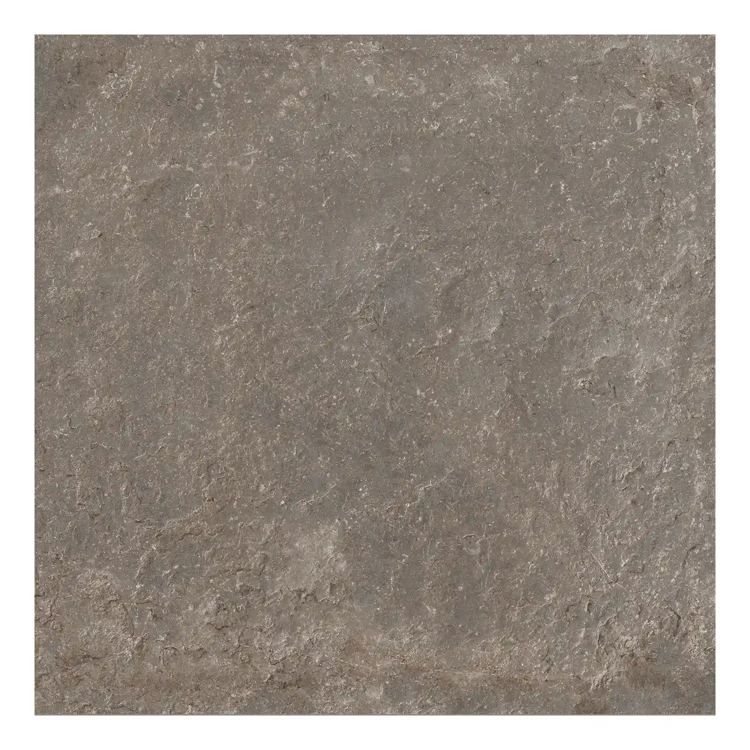 Rustikale Steinoptik Bodenfliese i-stone Taupe 60 x 60 cm